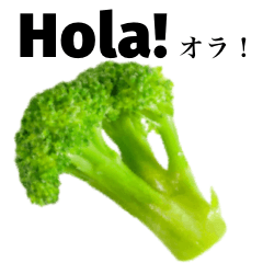 Fresh Broccoli 8