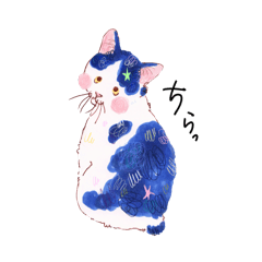 Shizuku of Manx Cat