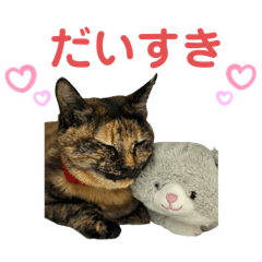 uzura_20250709173111 – LINE stickers | LINE STORE