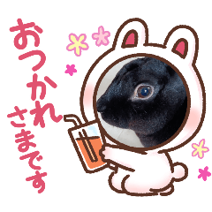 cocoa_20250709173940