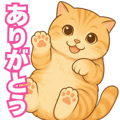 もふもふ猫・モフのごあいさつ