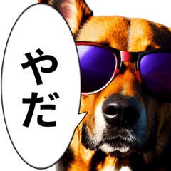 cool doggie