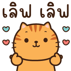 ปังส้ม แมวส้มน่ารัก