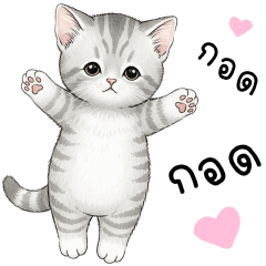 โซระ ลูกแมวมุมิ