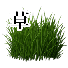 草生える(実写風)
