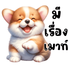 หมาน้อย คอร์กี้ น่ารัก2