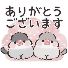 Chic Java Sparrow