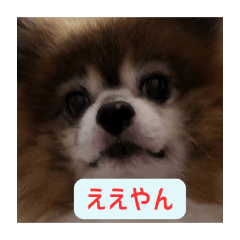 Minto_20250709224749