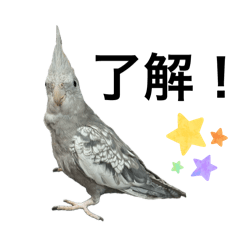 MISAKI_20250710033534