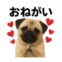 hayato_20250710001207