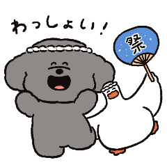 Toy Poodle & Duck's Summer Vacation