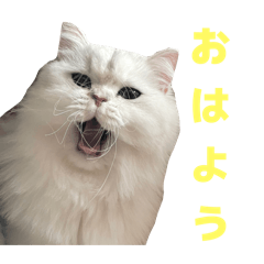 rinko_20250710185910