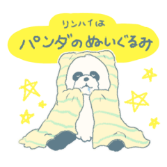 リンハイはパンダのぬいぐるみ