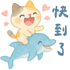 花貓聊天專用