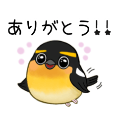 chapi_20250710180616