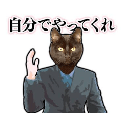 kinako_20250710180509