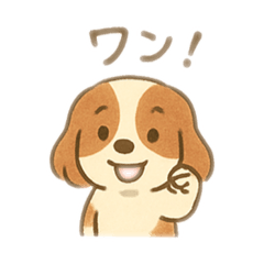Gentle Cavalier Daily Stickers