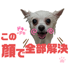 mash._20250711102016