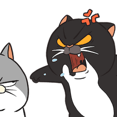 Thomas : Paul X Nyonyo