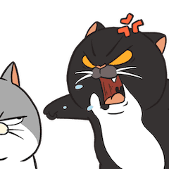 Thomas : Paul x Waluyo