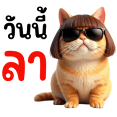 แมวส้ม เหมียวๆ