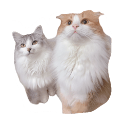 takeru_20250711200443