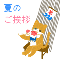 夏の挨拶、猫と花いっぱい