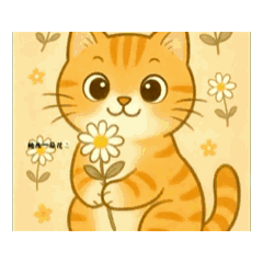 喵喵送花