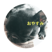 shishimaru32
