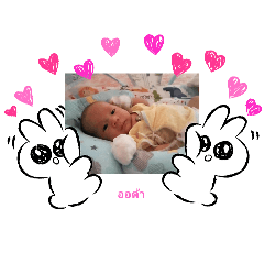 aorta_20250712085858