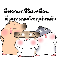 Pudding Hamster pinch funny