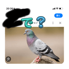 ハムスーハムスター