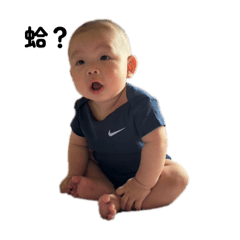 包整完銓翻譯（第二彈）