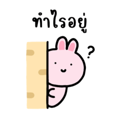 กระต่ายโคลอี้