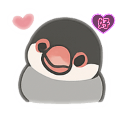 桜文鳥日常使えるスタンプ