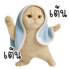 Little cat is cold in a blanket