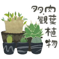 ずっとつかえる♡大人の多肉・観葉植物