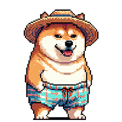 夏を満喫 太っちょ柴犬