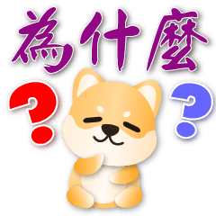 可愛柴犬❤️每天實用問候