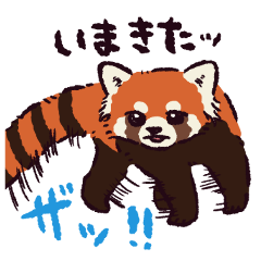 Red Panda!?