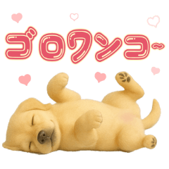 Golden retriever stickers for dog lovers