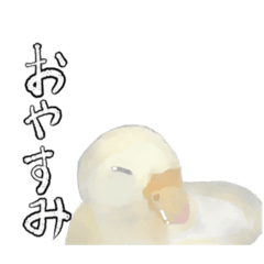 コールダックのマカロニ