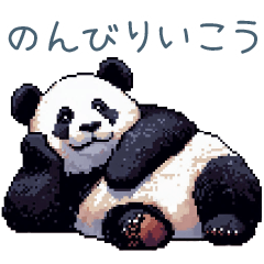 Daily use Panda1
