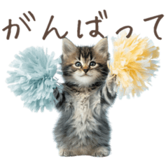 かわいい癒しの子猫スタンプ
