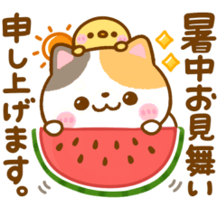 ねこねこにゃんこ♡夏の気遣い