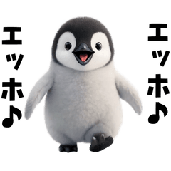 ehoeho  penguin