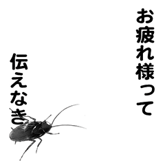 Communicating cockroach