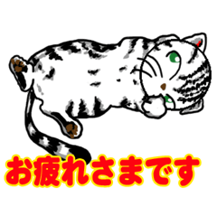 Honorific of cats (Japanese)