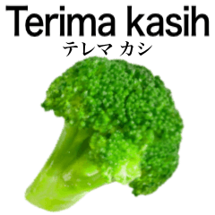 Fresh Broccoli 14