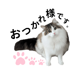 ♡♡Risa 🖤 #risa | TikTok